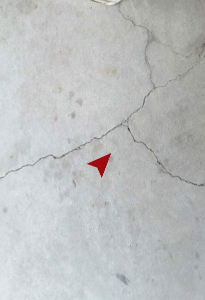 Cracks-in-Concrete